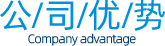 公司优势